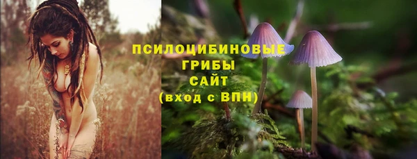 Альфа ПВП Алексеевка